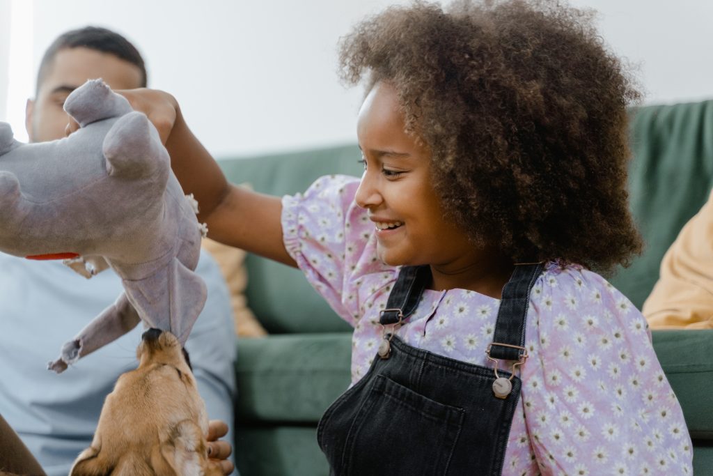8 Crucial Steps to Handle a Dog Bite Case and Secure Fair Compensation